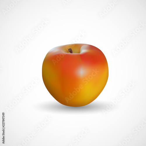 Realistic apple on a white background, vector, illustration, eps file