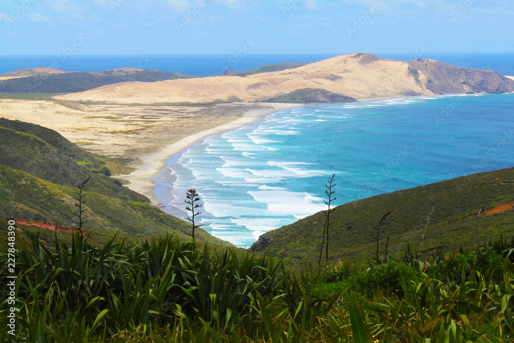 Cape Maria Van Diemen, Cape Reinga - New Zealand