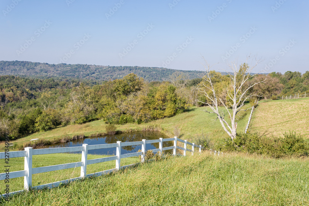 White wooden fence leading away of rolling hills with trees