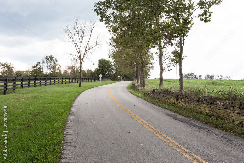 Curving road vanishing behind trees