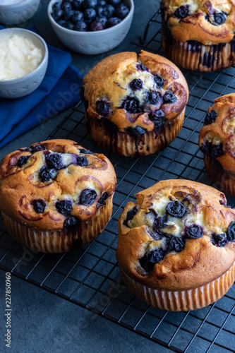 Blueberry Muffins