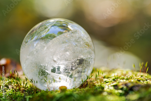 Fototapeta Naklejka Na Ścianę i Meble -  Lemurian Clear Quartz Sphere crystal magical orb on moss, bryophyta and bark, rhytidome in forest preserve.