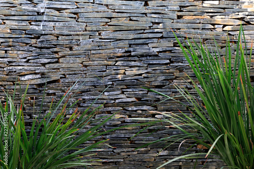 Fototapeta Naklejka Na Ścianę i Meble -  A calming waterfall over a slate wall with framing palm trees and plants. Background with copy space