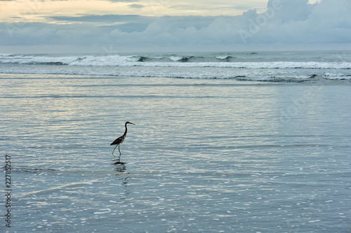 El Cuco Black Sand Beach, El Salvador © Judd Irish Bradley