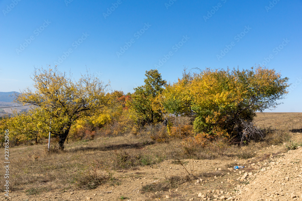 Autumn landscape of Cherna Gora (Monte Negro) mountain, Pernik Region, Bulgaria