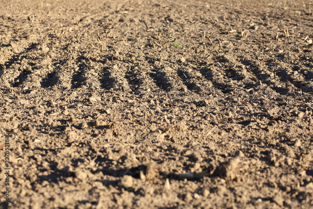 Tractor trail on field, agriculture Tractor trail on field, agriculture