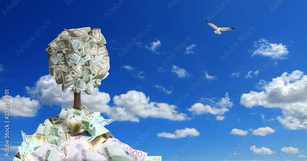 conceptual image of money tree in money pile over sunny blue sky with flying bird
