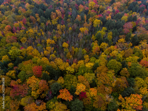 Muskoka Fall Colours From Above