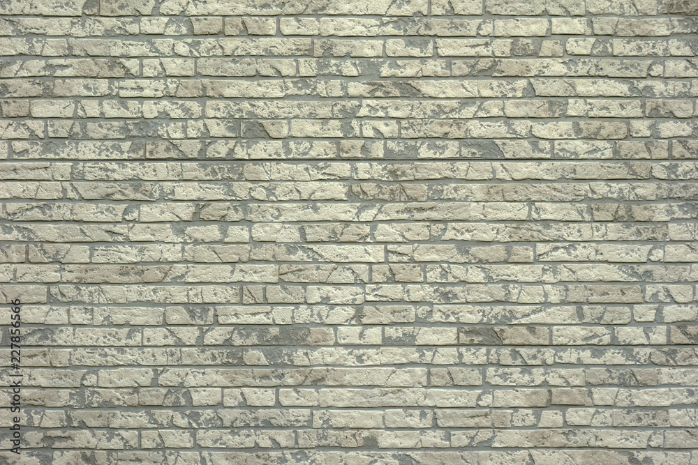 Obraz premium 住宅のサイディング外壁