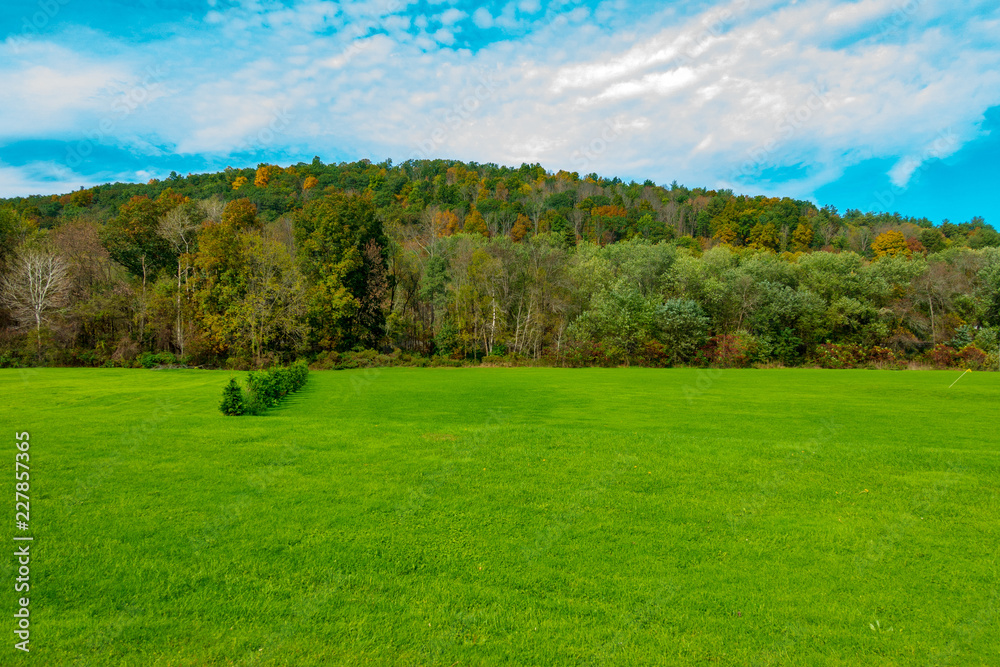 Fototapeta premium Fall Foilage