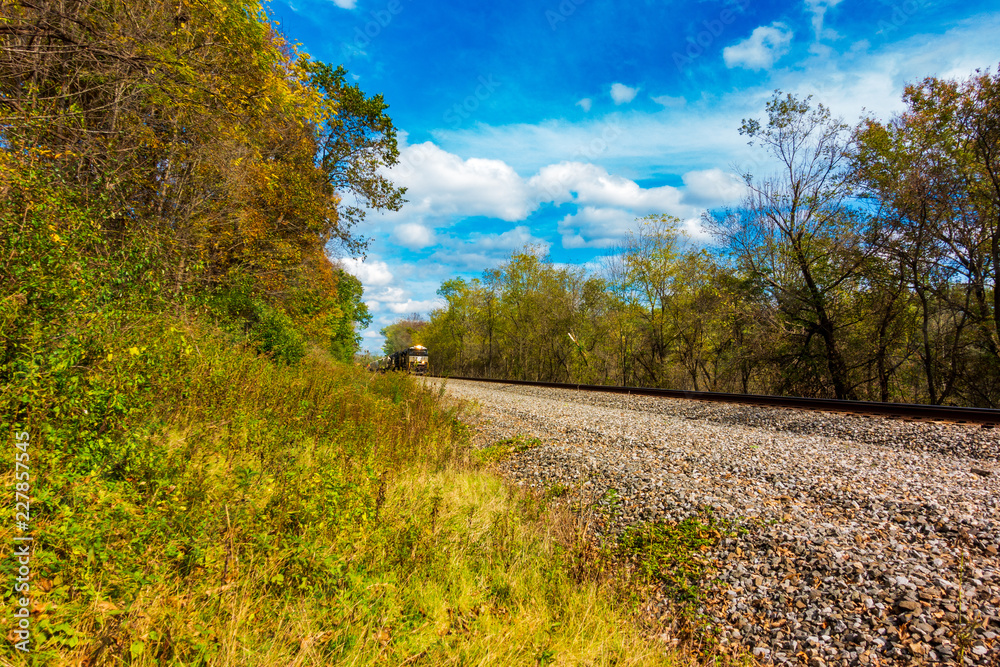Fototapeta premium Train In The Autumn Forest