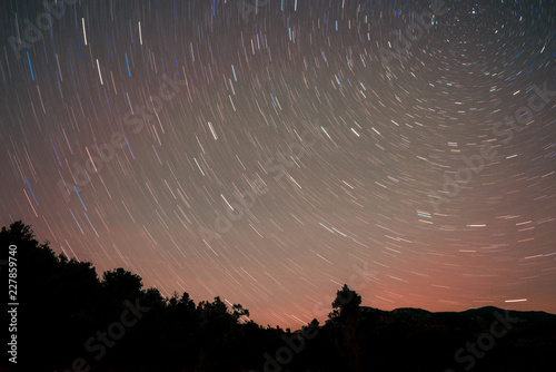 Star Trails over Treeline 