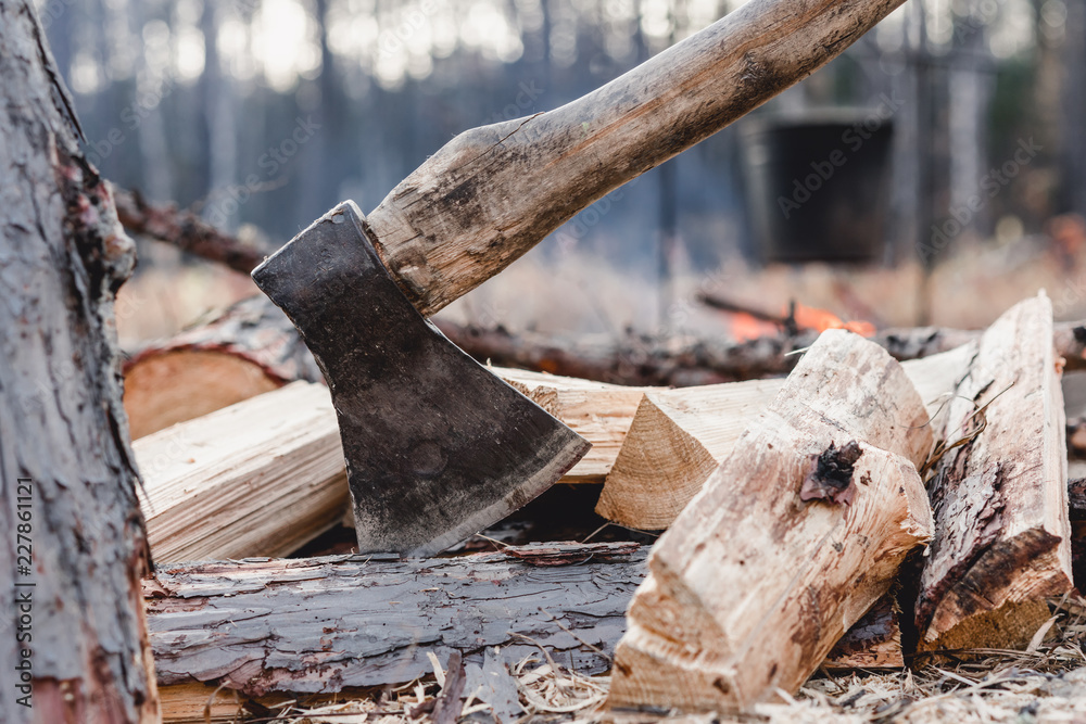Firewood and campfire on riverside Firewood and campfire on riverside