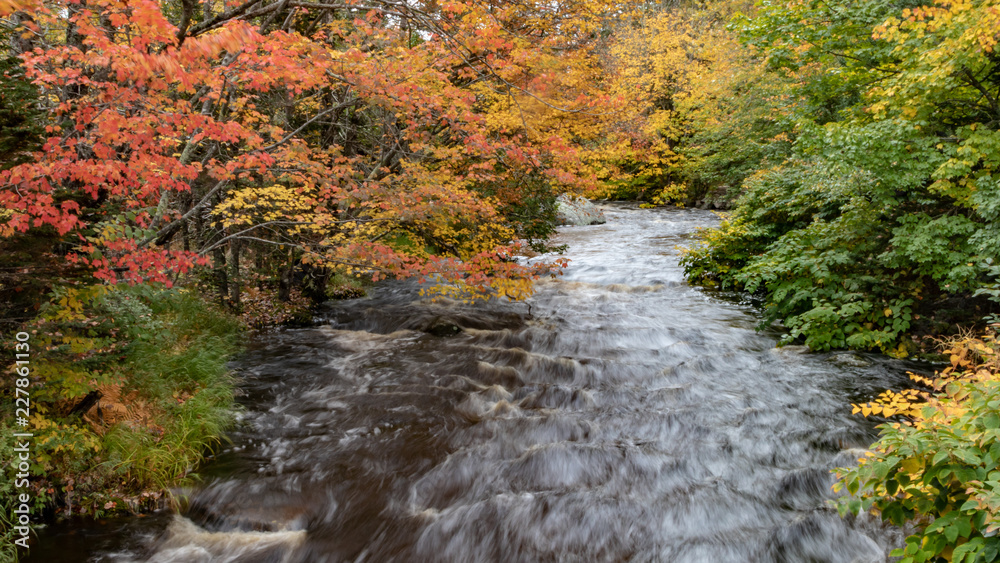 stream in autumn