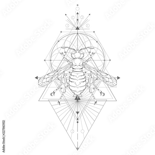 Vector illustration with hand drawn wasp and Sacred geometric symbol on white background. Abstract mystic sign. Black linear shape. For you design: tattoo, posters, t-shirts, textiles and magic craft.