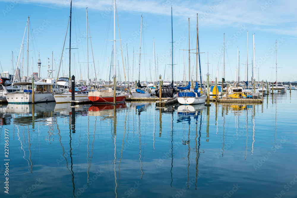 Bayswater Marina Auckland New Zealand; Popular Fishing Spot