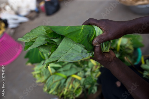 Green vegetable in the market
