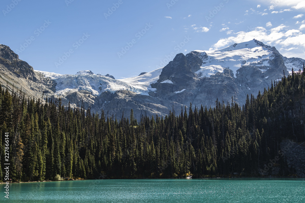 lower joffre lake view with pine trees and snow caped mountains at british columbia canada