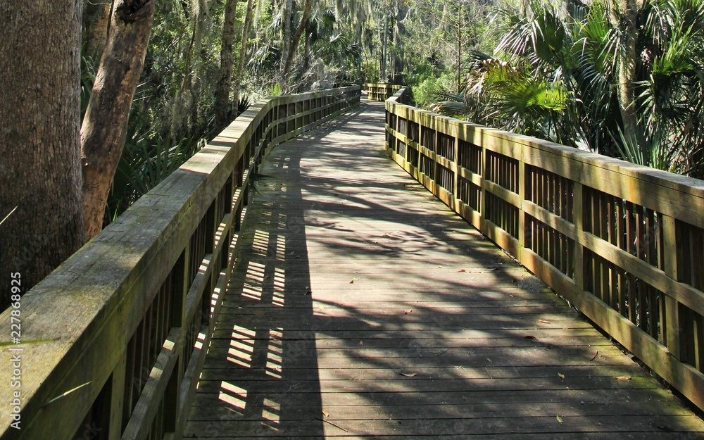 Nature Trail through Cradle Creek Preserve