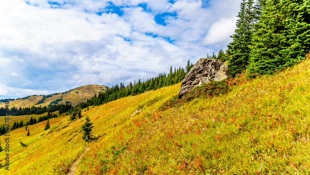 Hiking through the alpine meadows in fall colors on Tod Mountain near the village of Sun Peaks in the Shuswap Highlands of British Columbia, Canada
