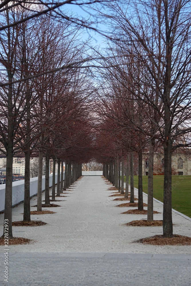 Roosevelt Island, New York, USA: An avenue of trees with red branches in the Four Freedoms Park, on an island in the East River, New York City.