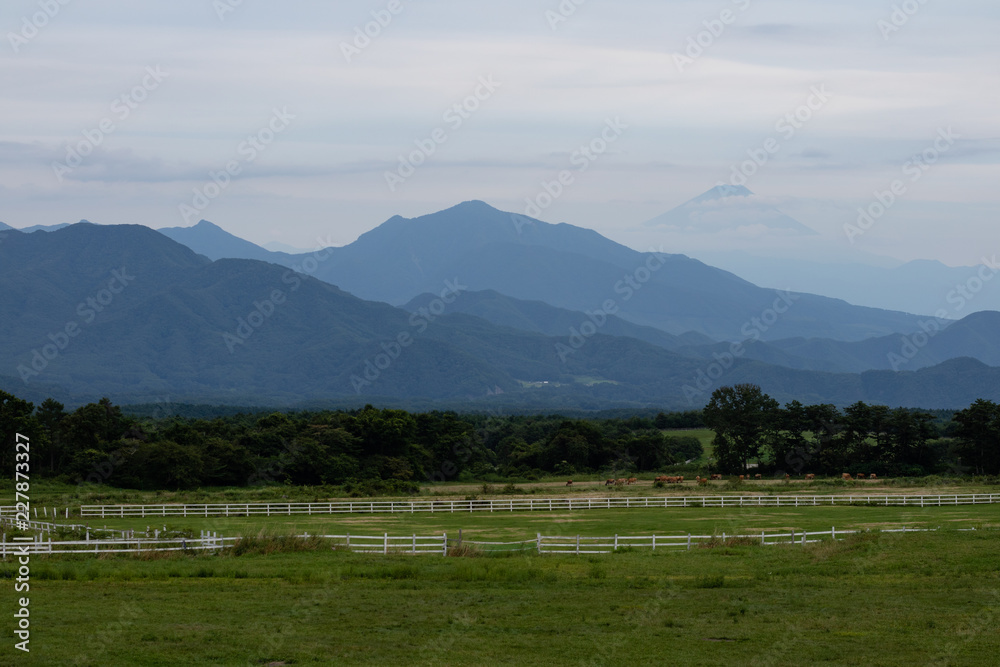 Naklejka premium The fields of a Kiyasato dairy farm with the tip of Mt. Fuji lurking behind