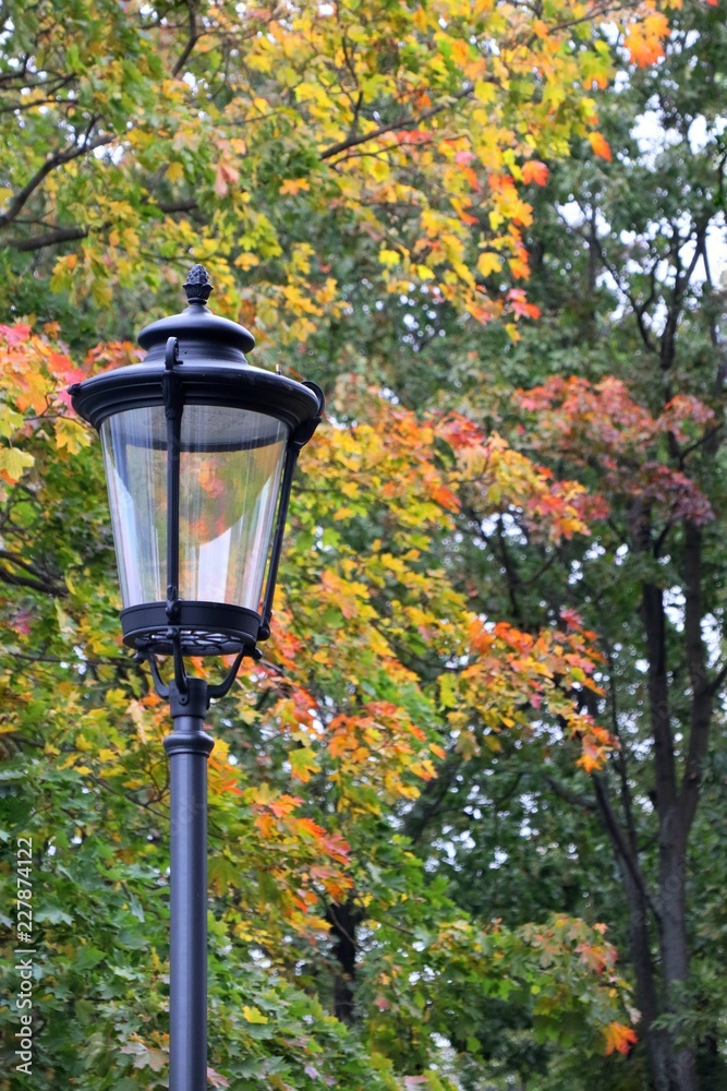The lamp with blurred colorful leaves in autumn background. Nature background concept.