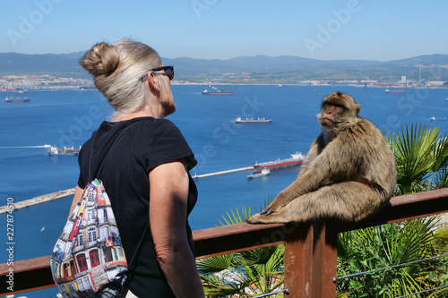 Monkey Friend