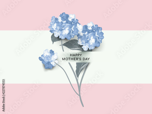 Fototapeta Naklejka Na Ścianę i Meble -  Happy mother's day greeting card design, minimalist blue hydrangea flowers on pink and blue background