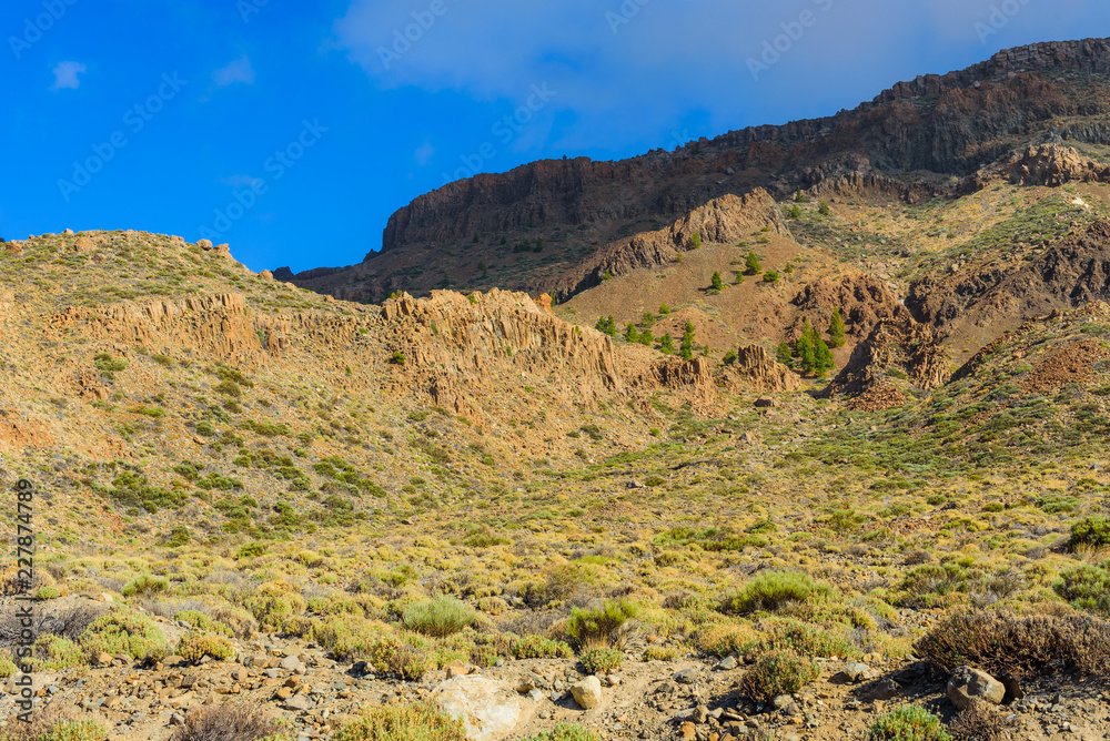 Great view in Las Cañadas del Teide National Park.  Tenerife. Canary Islands..Spain