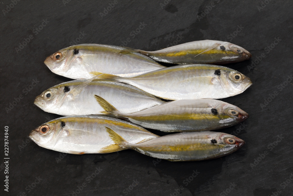 Raw fresh small yellow striped tervally banded slender fish Raw fresh small yellow striped tervally banded slender fish