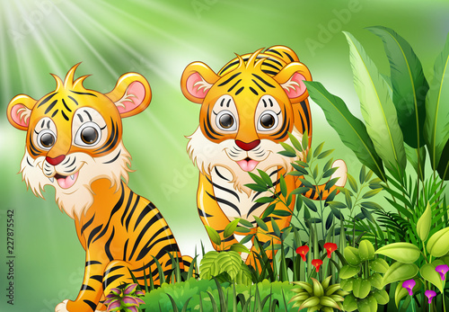 Fototapeta Naklejka Na Ścianę i Meble -  Nature scene with two tiger cartoon