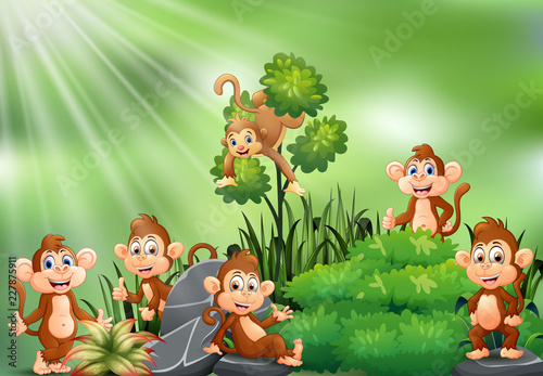 Fototapeta Naklejka Na Ścianę i Meble -  Nature scene with group of monkey cartoon