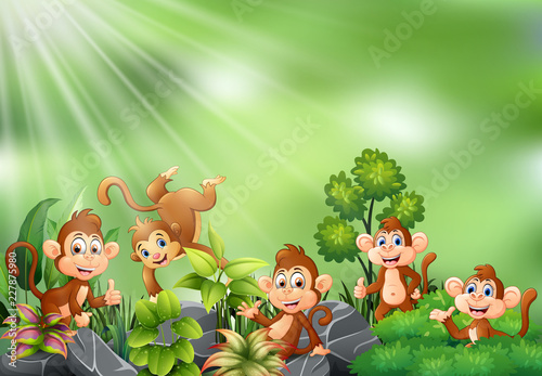 Nature scene with group of monkey cartoon