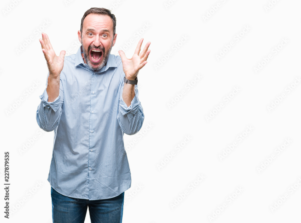 Middle age hoary senior business man over isolated background celebrating crazy and amazed for success with arms raised and open eyes screaming excited. Winner concept Middle age hoary senior business man over isolated background celebrating crazy and amazed for success with arms raised and open eyes screaming excited. Winner concept
