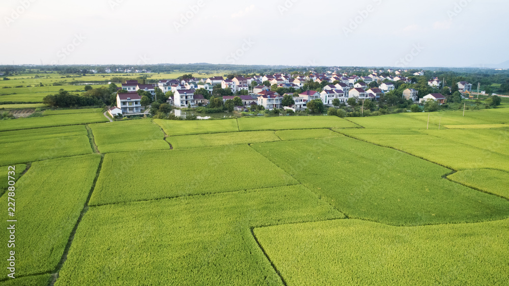 Naklejka premium Autumn rural scenery in southern anhui province, China