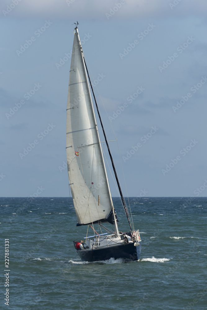 Naklejka premium Velero