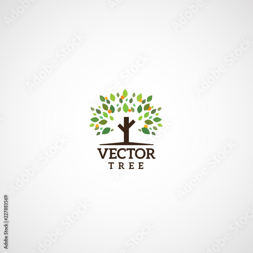 Vector fruit  tree with green leaves, logo.