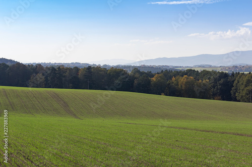 Fototapeta Naklejka Na Ścianę i Meble -  Field, meadow and trees, autumn czech landscape