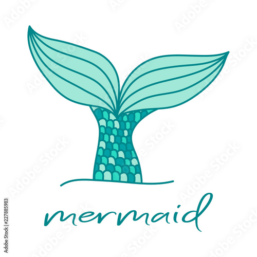 Cute mermaid tail and writing. Hand drawn illustration vector.