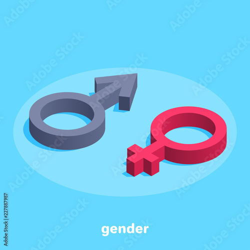 isometric image on a blue background, male and female signs, gender of a person