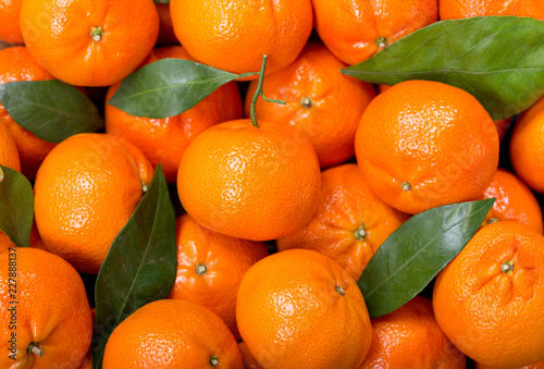 Fresh mandarin oranges fruit or tangerines with leaves