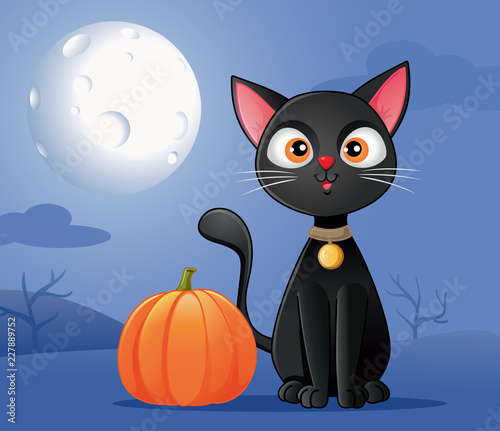Black Cat with Halloween Pumpkin Vector Cartoon