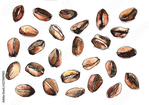 Pretty simple watercolour set of coffee beans © Анастасия Гончарова