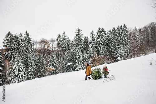 Grandfather and small girl getting a Christmas tree in forest.