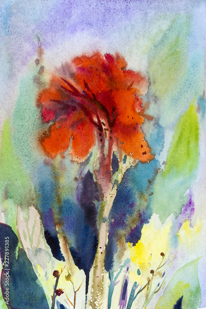 Watercolor landscape painting on paper colorful of canna lily flower