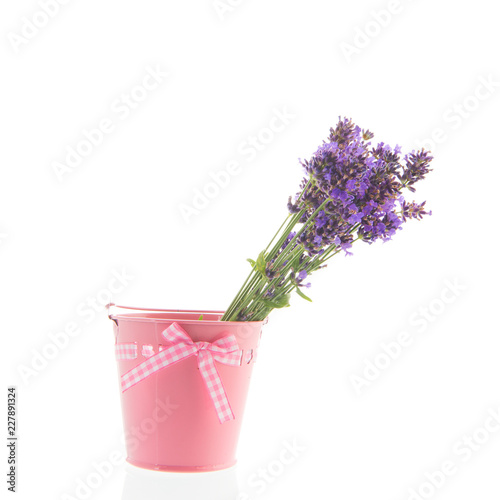 Fototapeta Naklejka Na Ścianę i Meble -  Bouquet Lavender in little bucket on white background