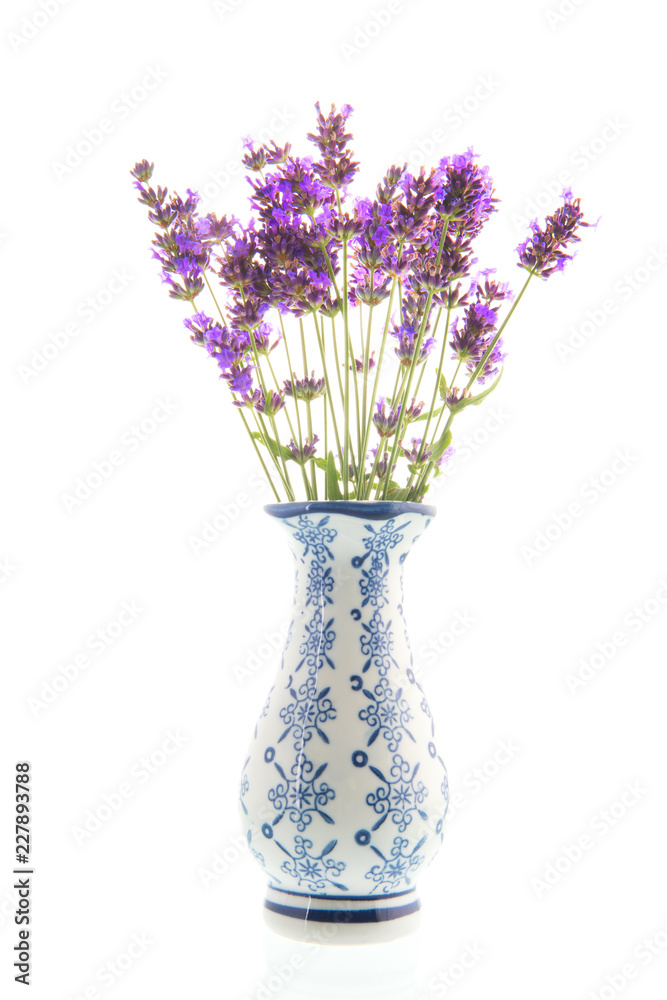 Bouquet Lavender in vase on white background