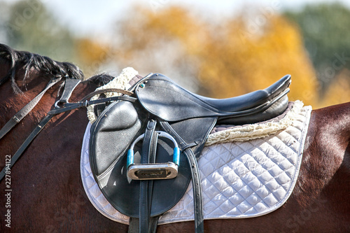 Saddle on a horse 