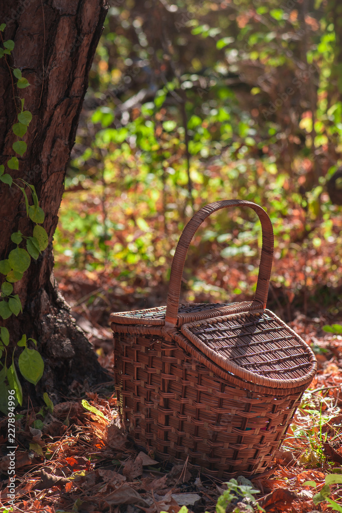 Picnic basket in an autumn forest in sunlight with copy space Picnic basket in an autumn forest in sunlight with copy space